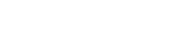 Flagship project