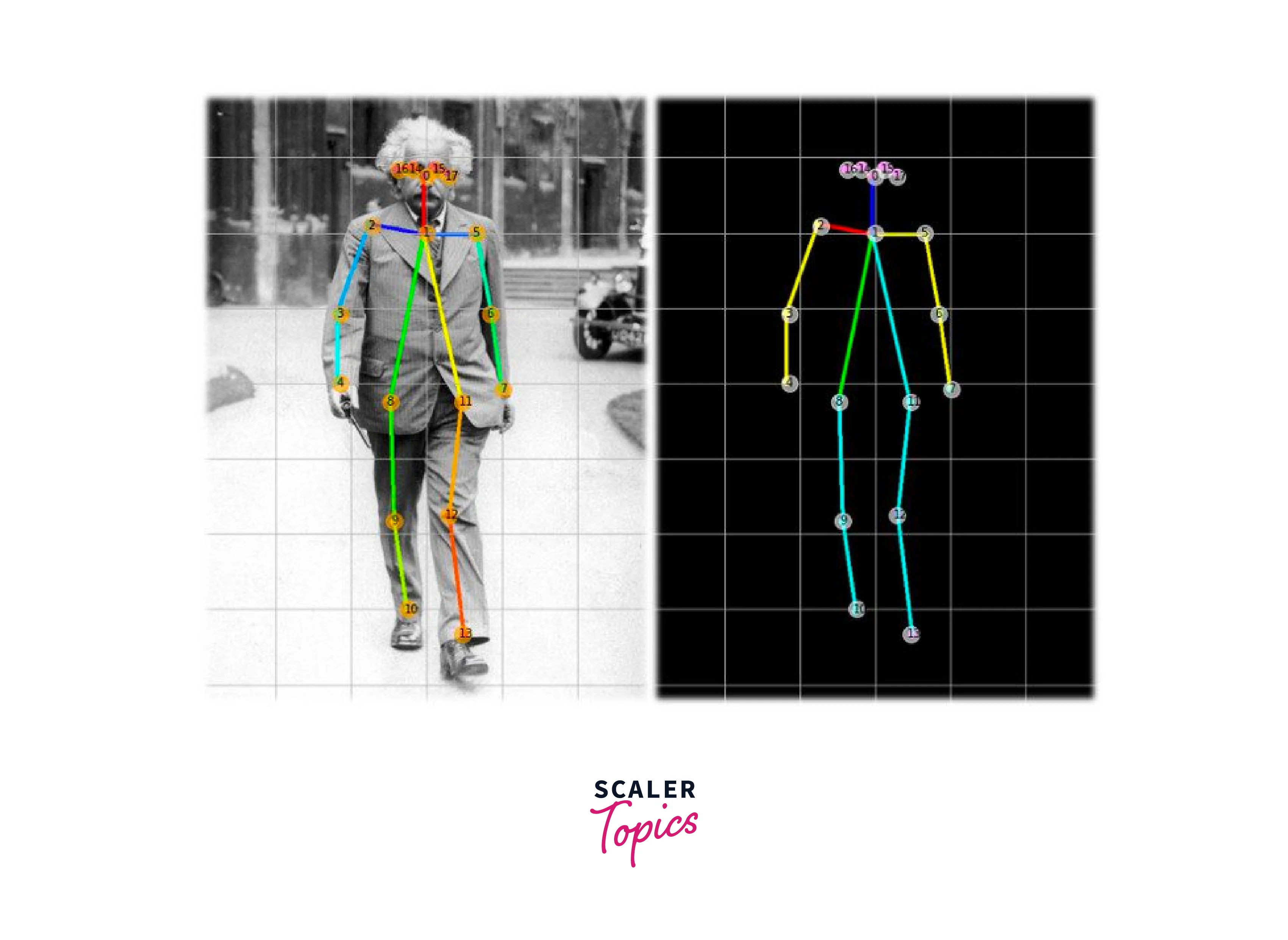 Human Pose Estimation in Deep Learning - Scaler Topics