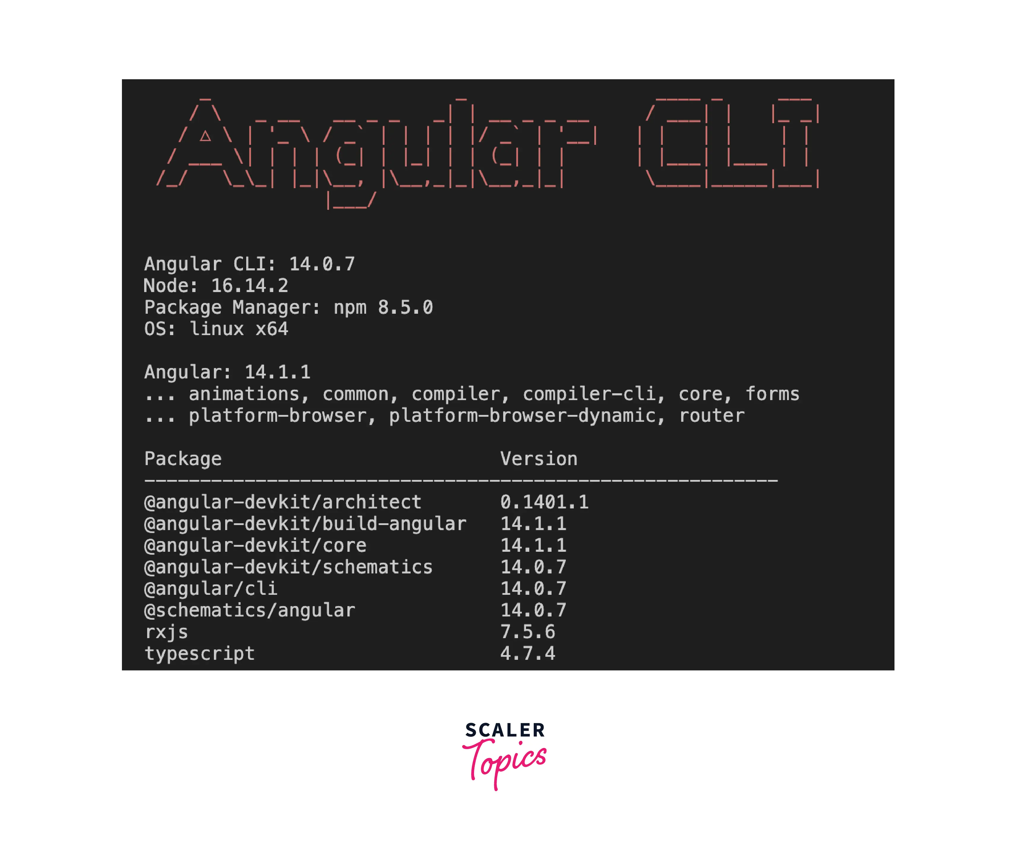 angular-cli-installed-version-cmd-output