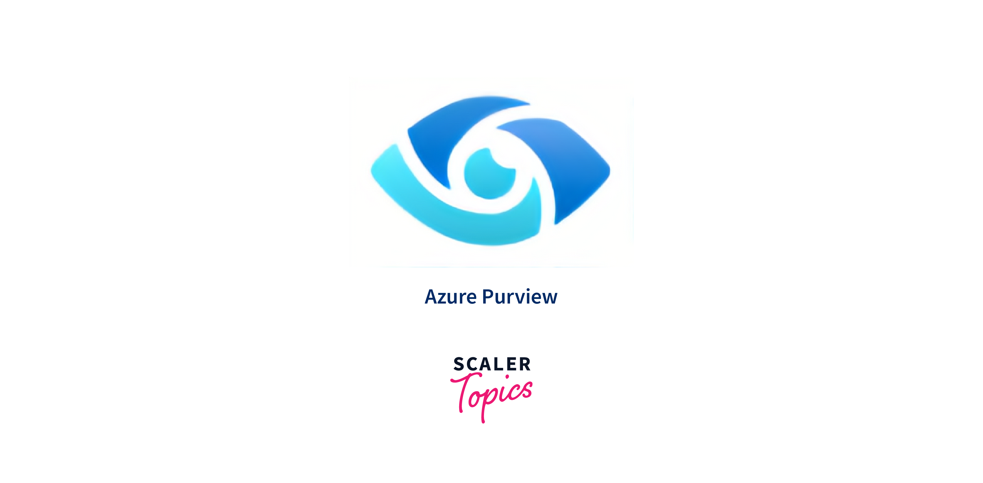 azure purview logo