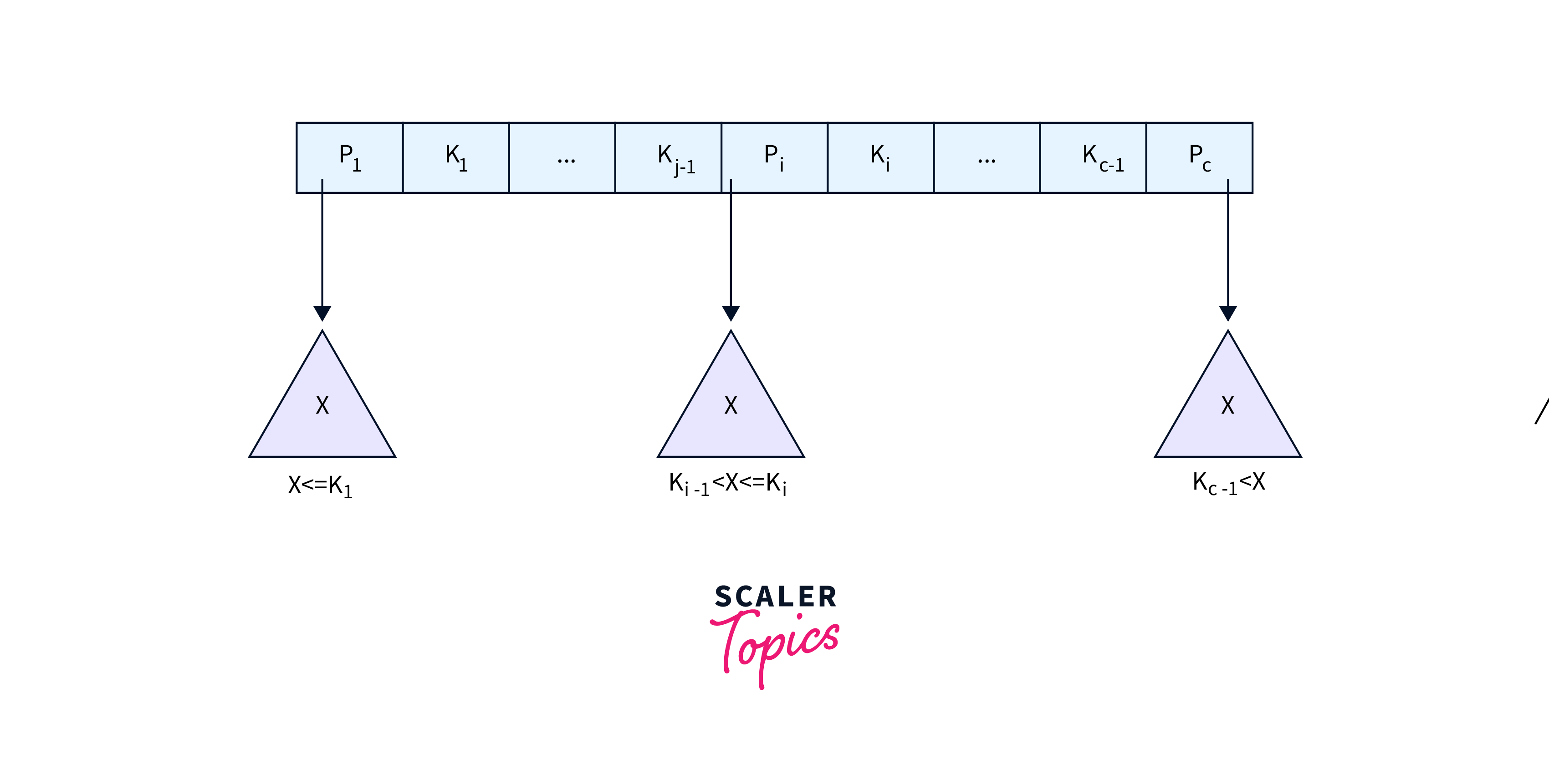 B+ Tree