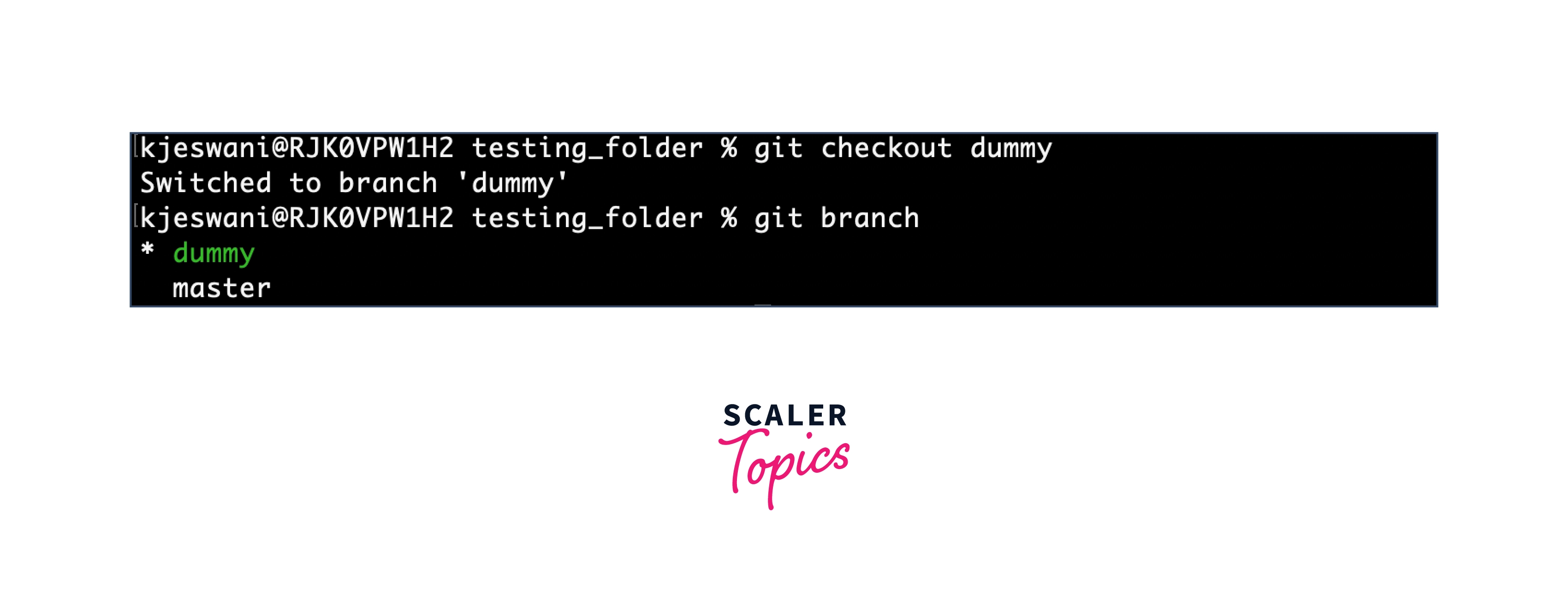 branch checkout command in Git
