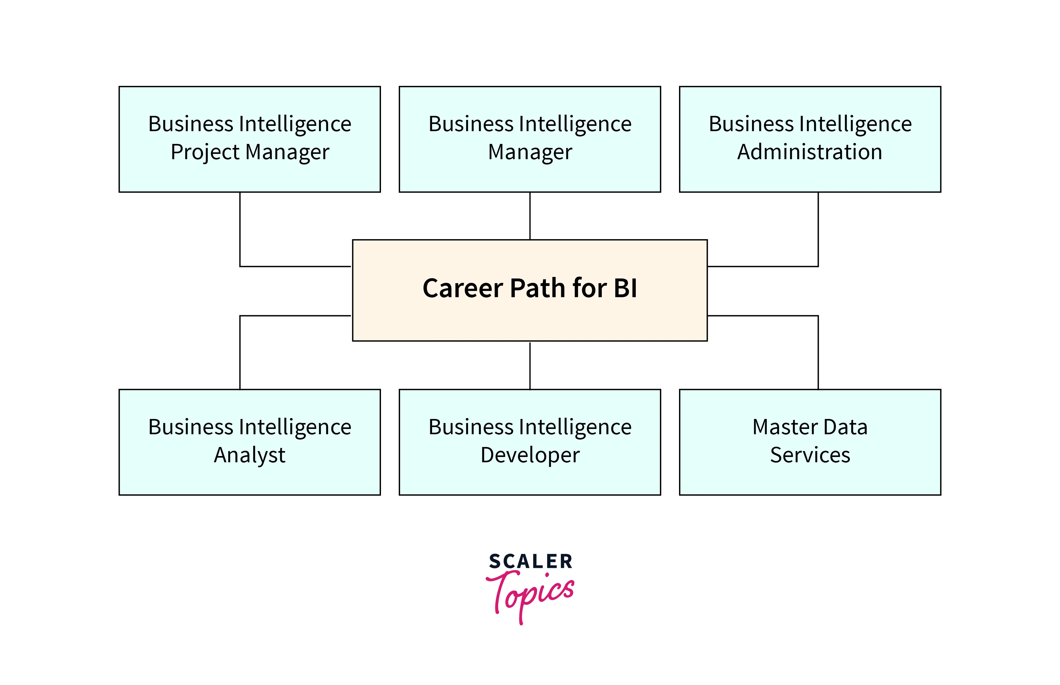 Business Intelligence Developer