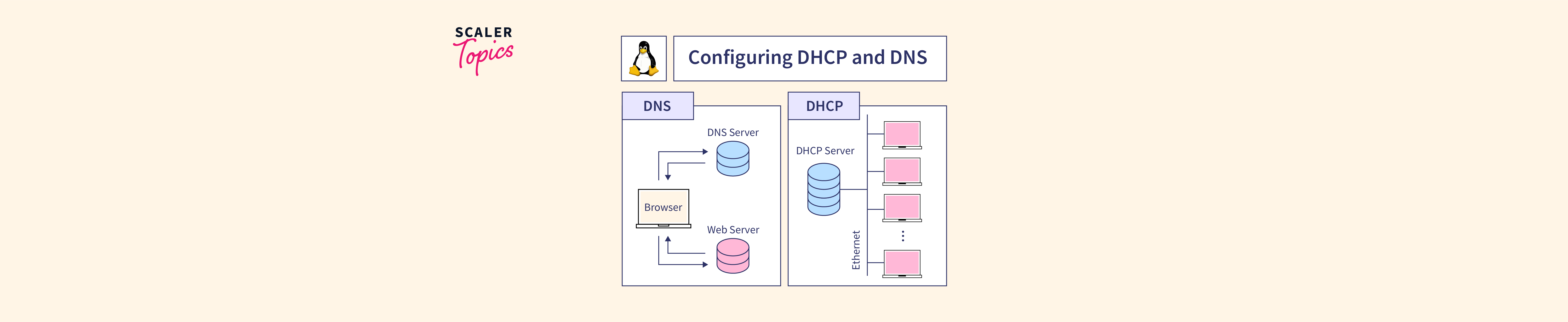Linux DNS and DHCP services - Scaler Topics