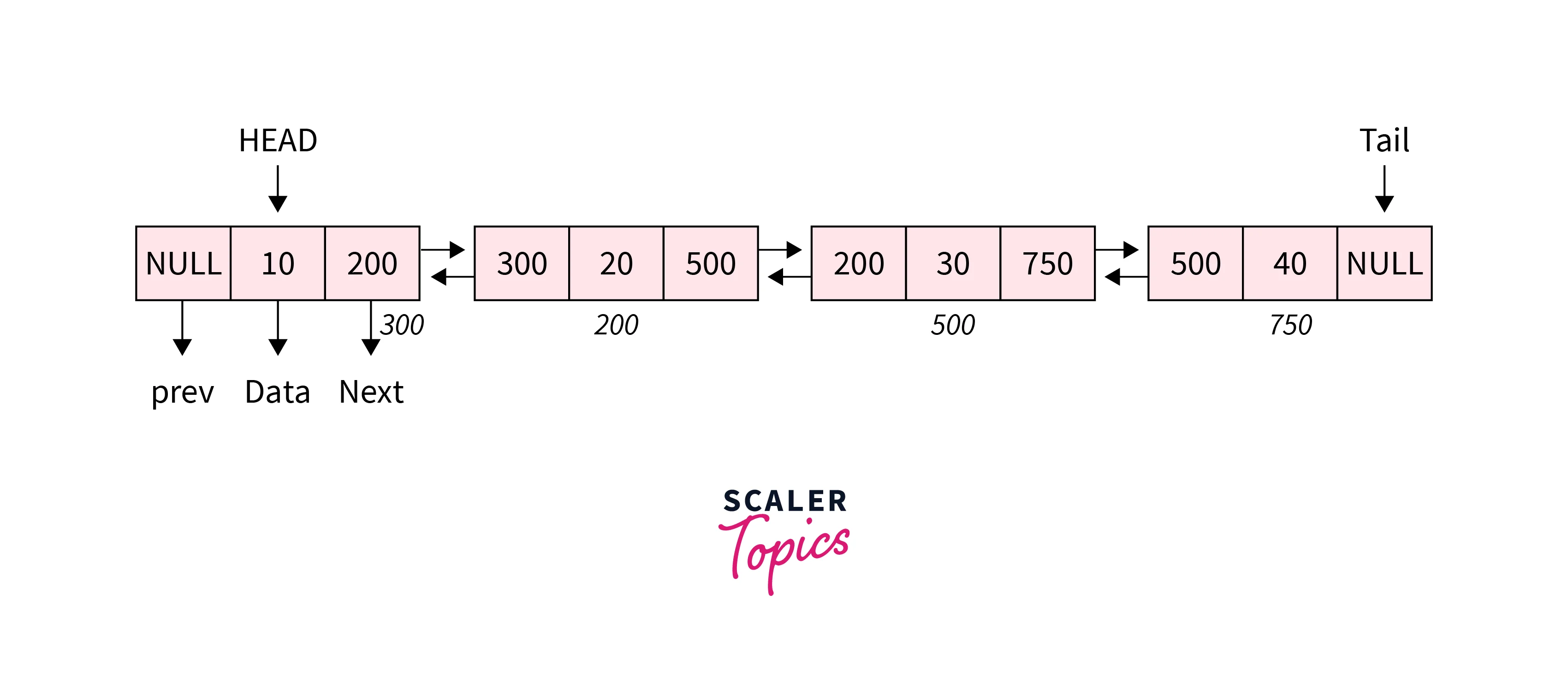 doubly-linked-list-in-the-data-structure-2