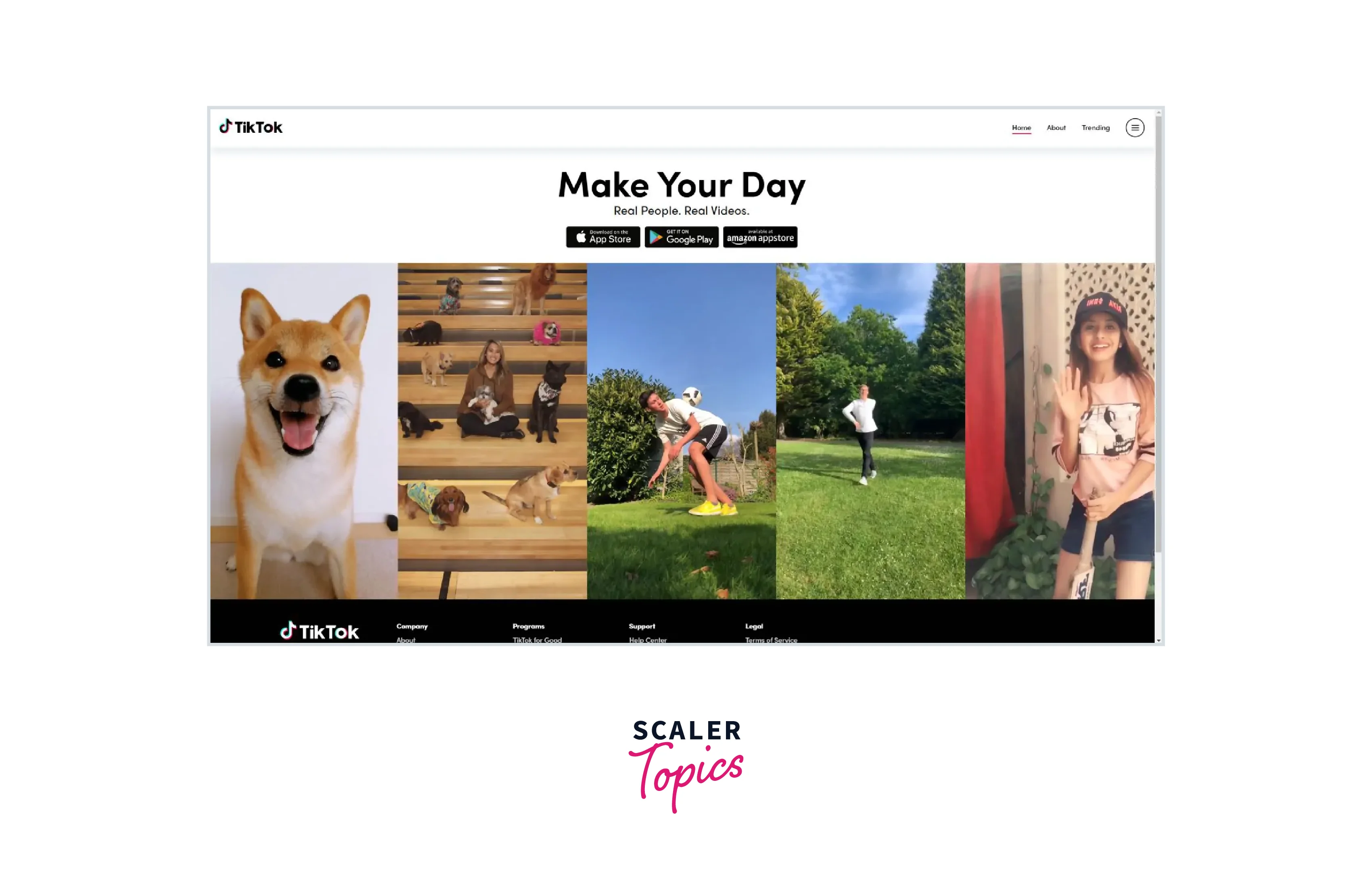 Examples Of Next Js Websites