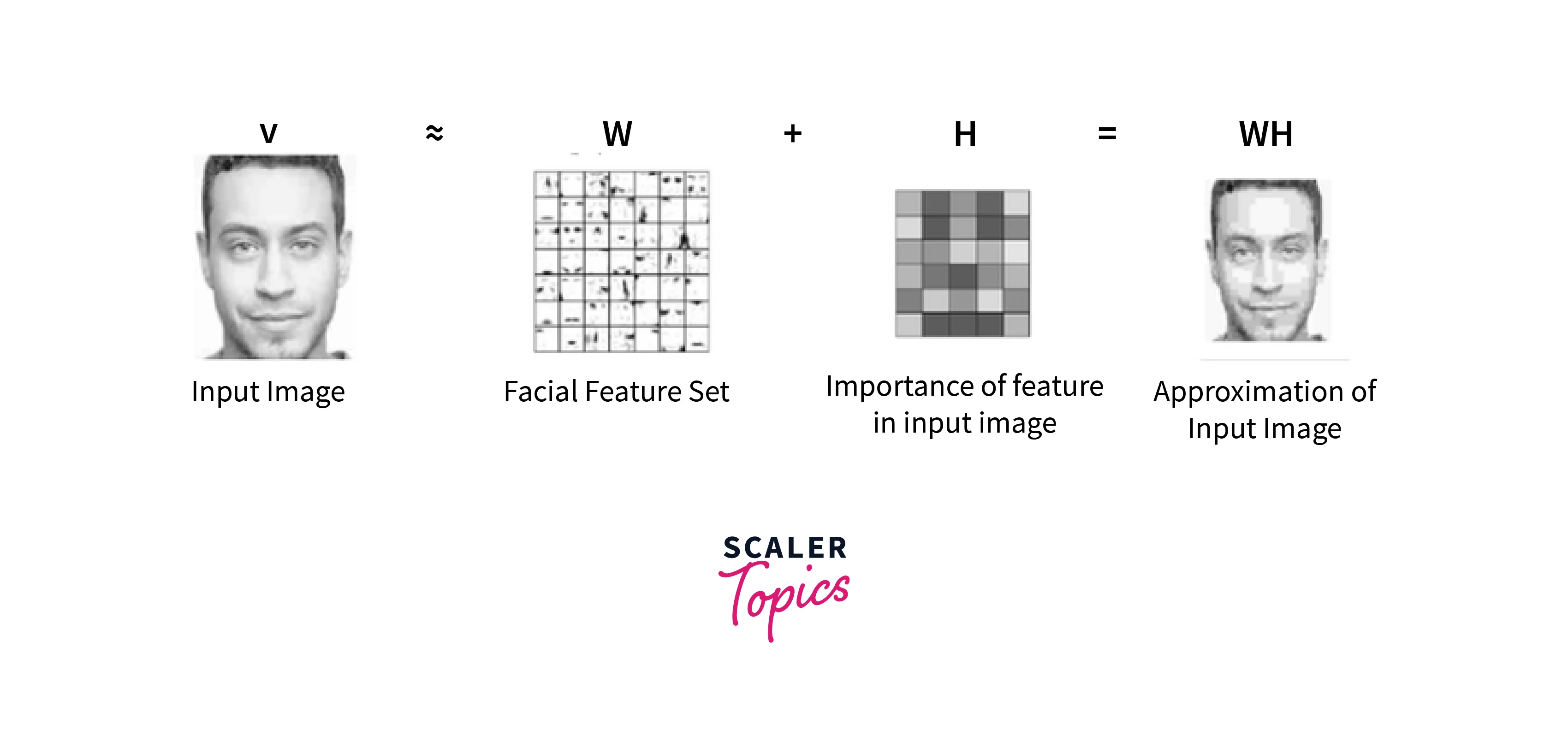 facial-recognition-decomposition-in-non-negative-matrix-factorization