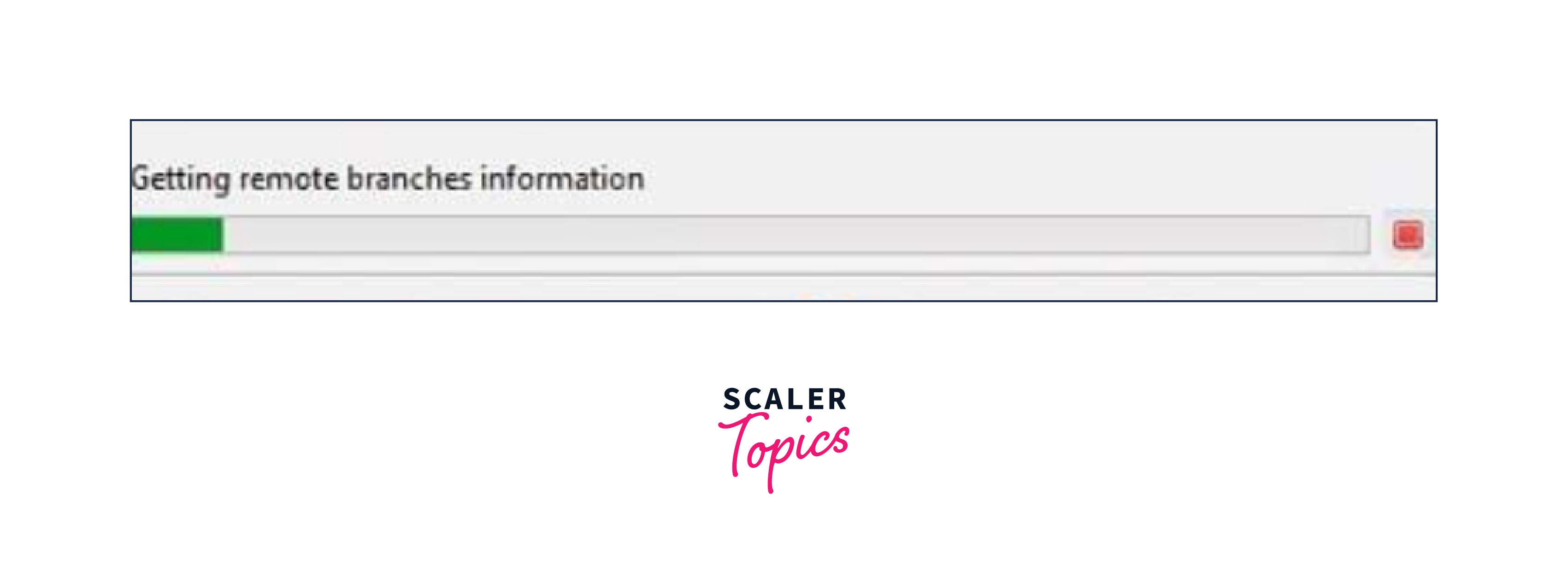 Getting remote branches information