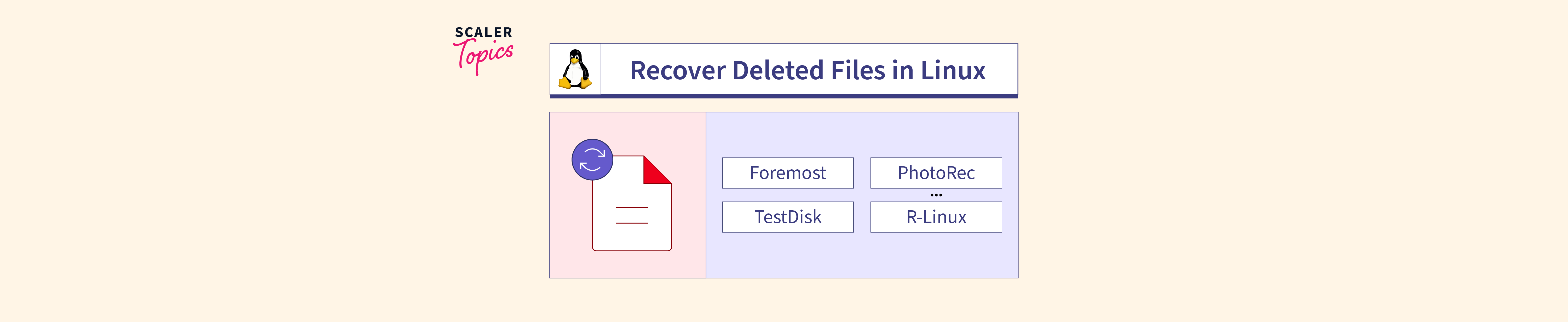 How to Recover Deleted Files in Linux? Scaler Topics