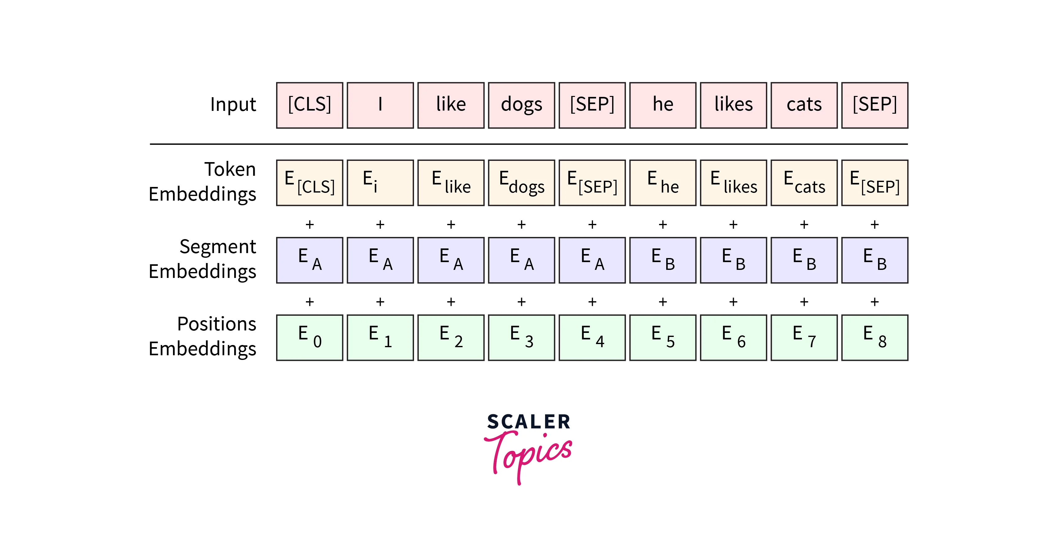 INPUT REPRESENTATION