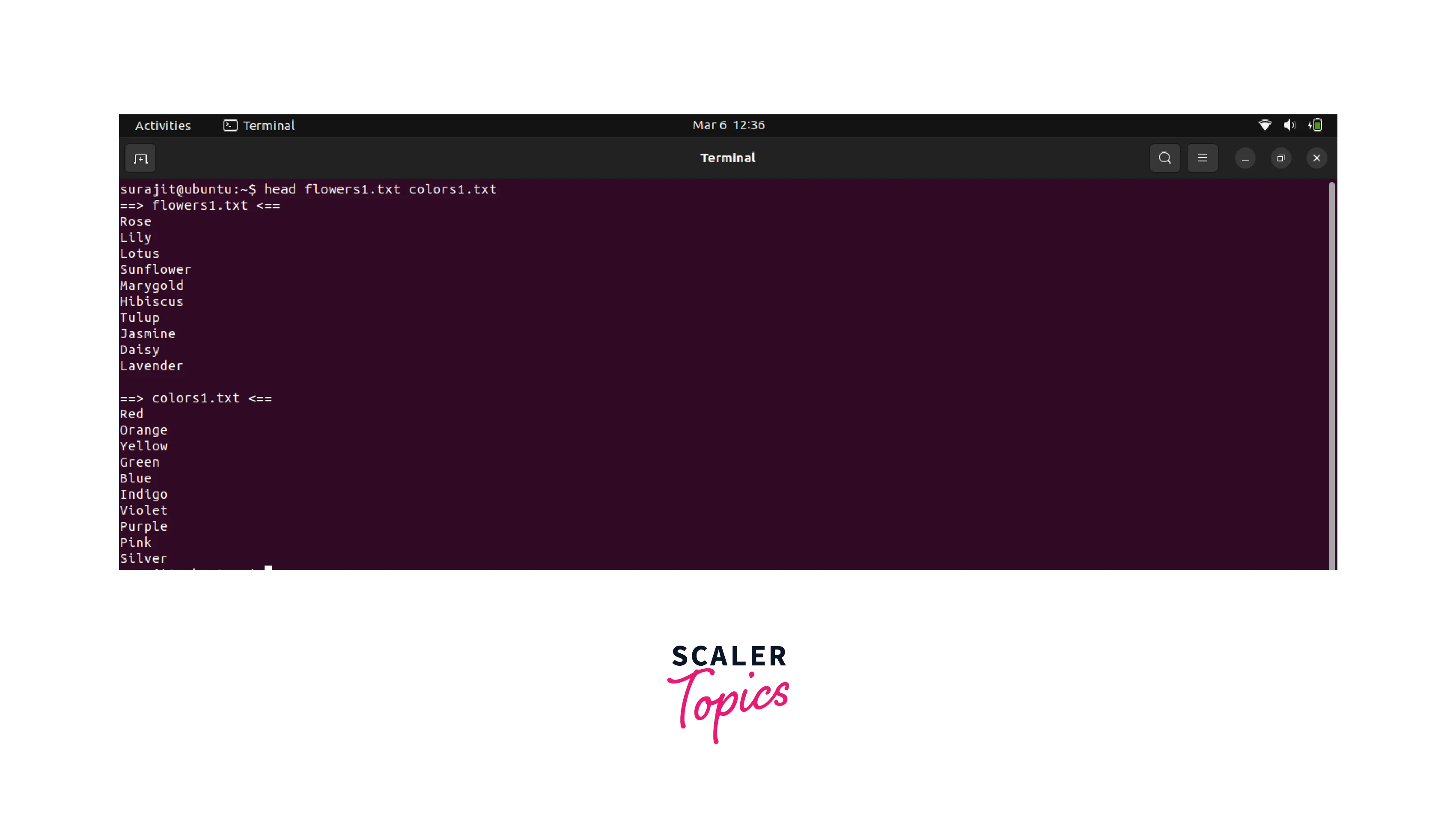 Head Command in Linux Scaler Topics