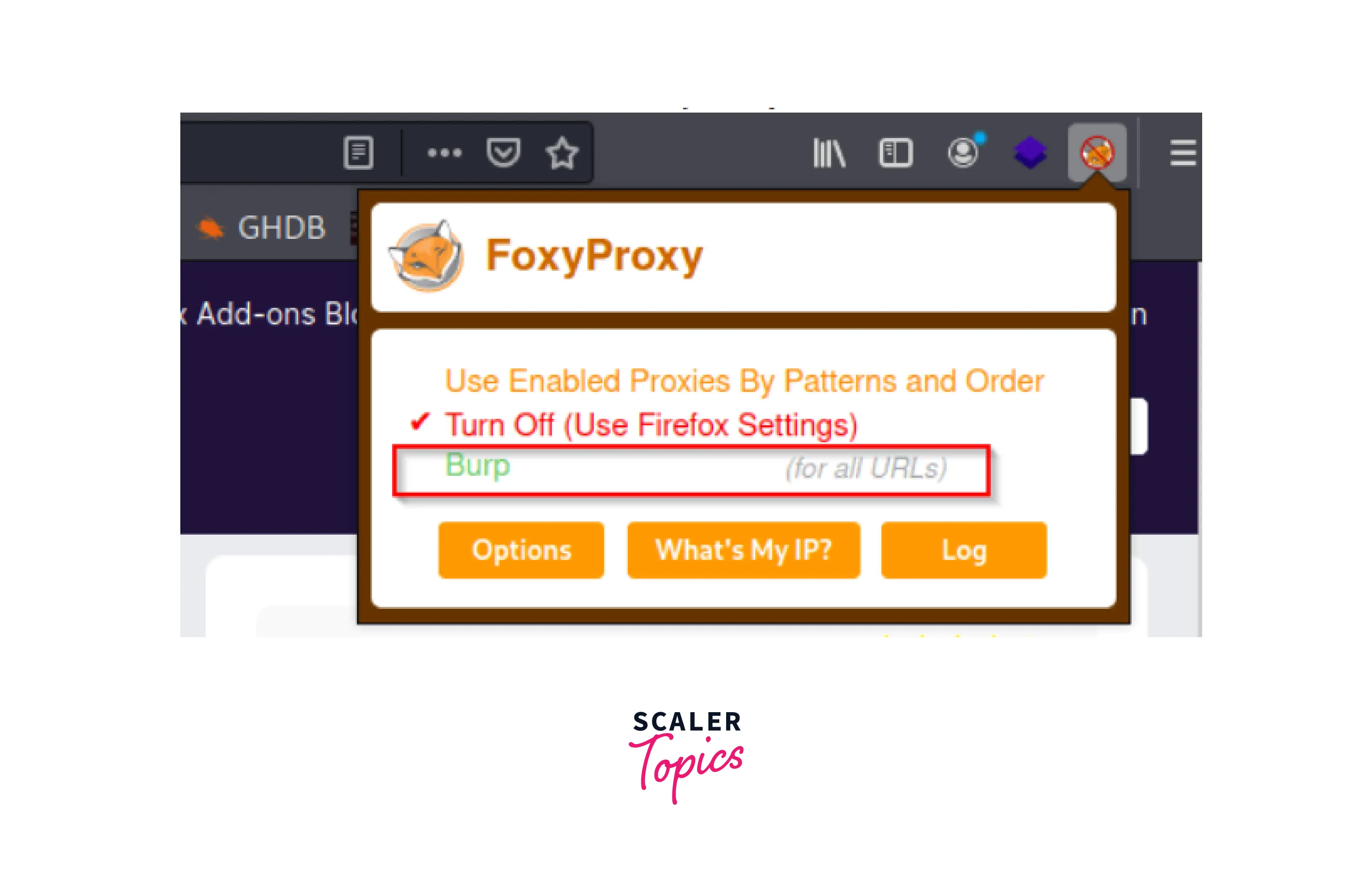 open foxy proxy and burpsuite