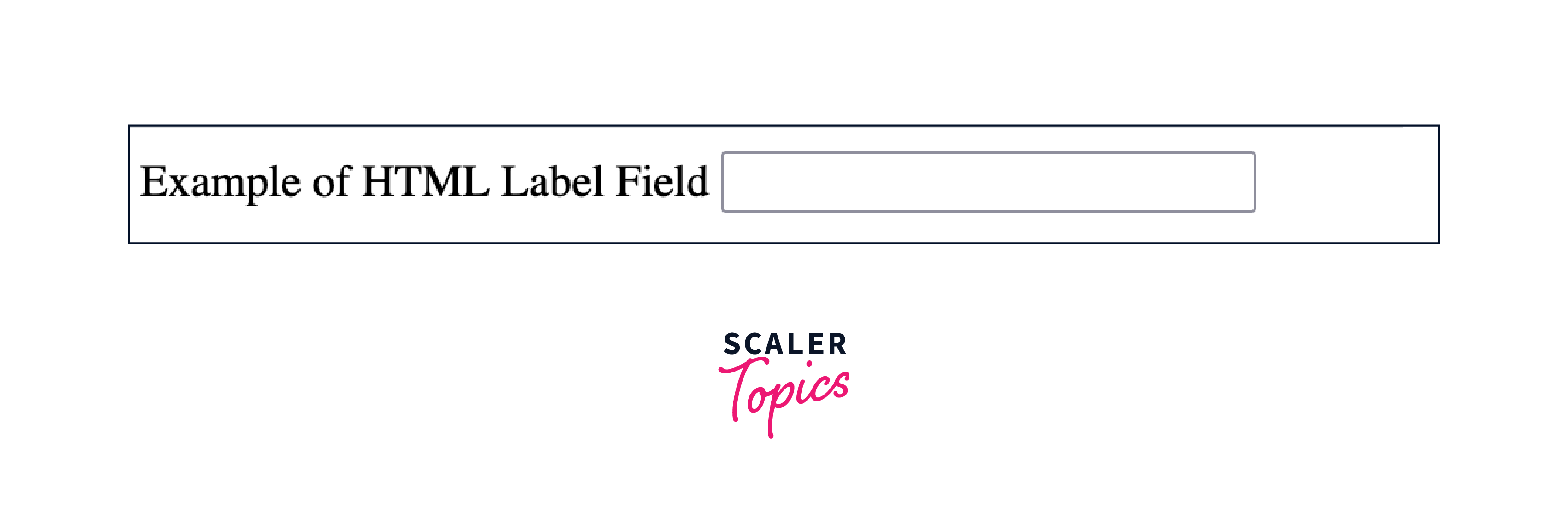 How to Create an HTML Contact Form - Scaler Topics
