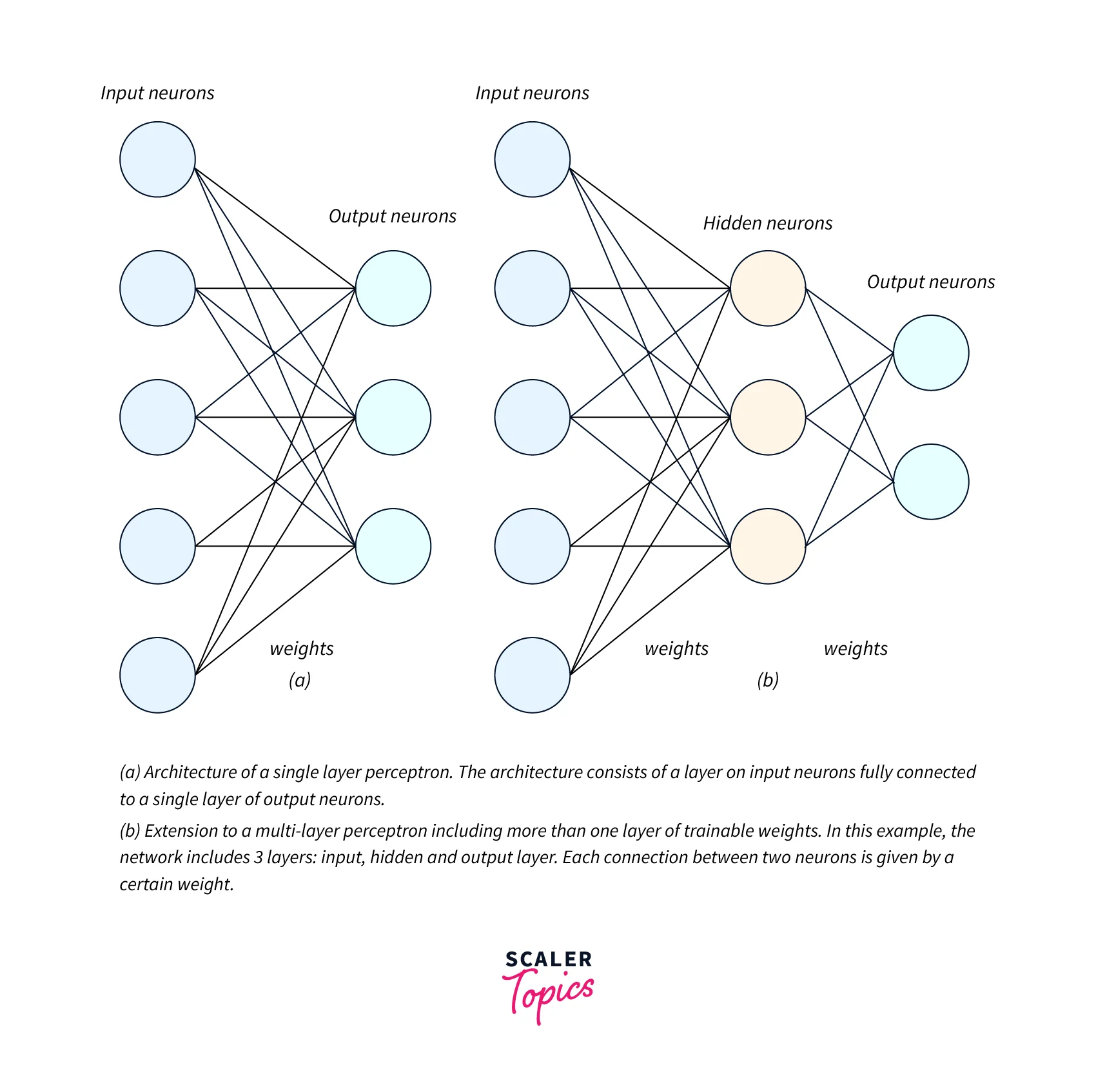 Perceptron Models