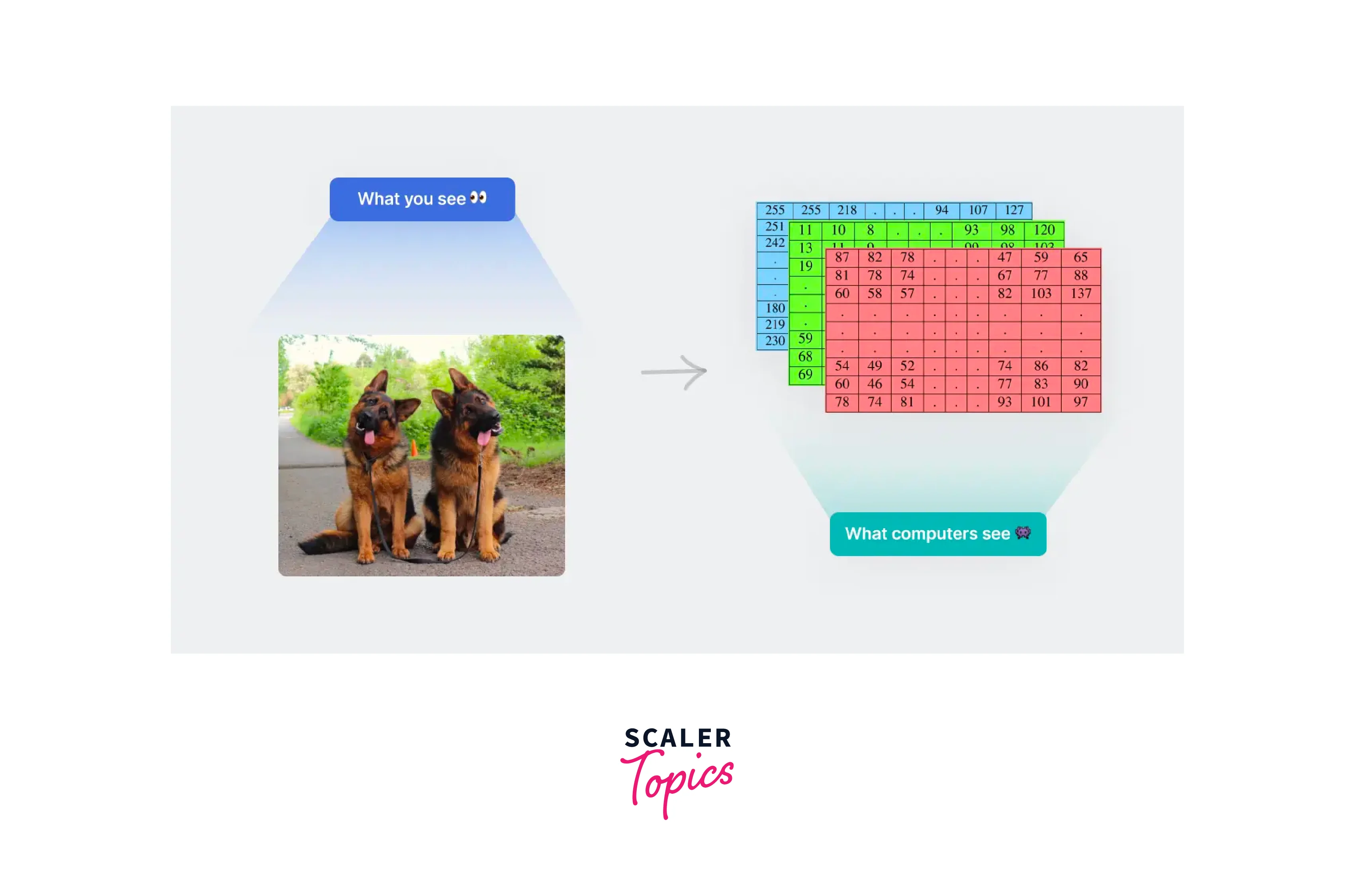 Fundamental Steps In Digital Image Processing - Scaler Topics
