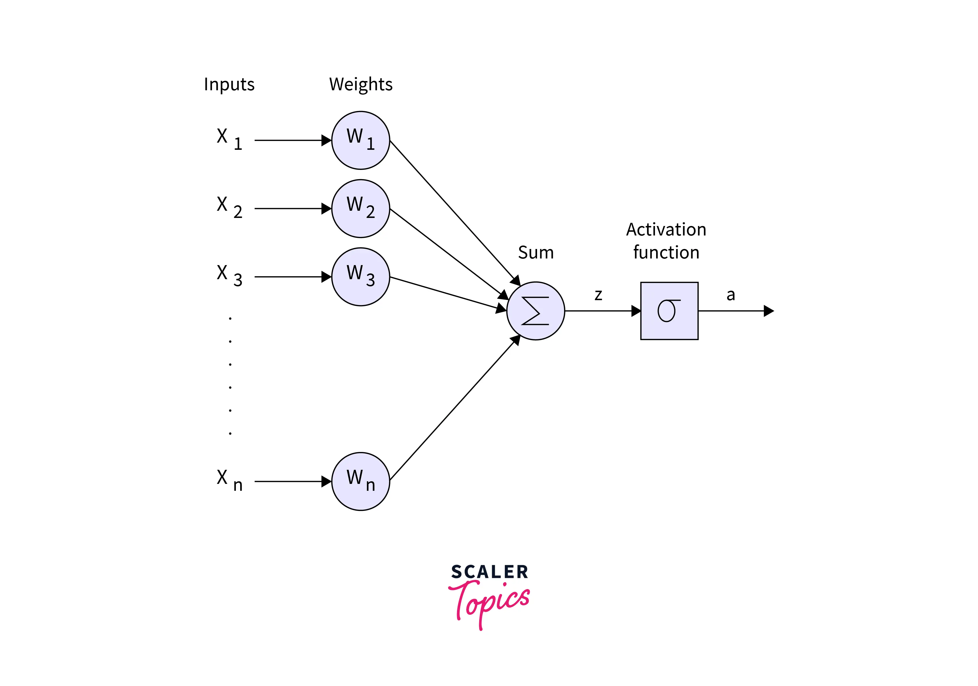 pytorch-linear-layer-example