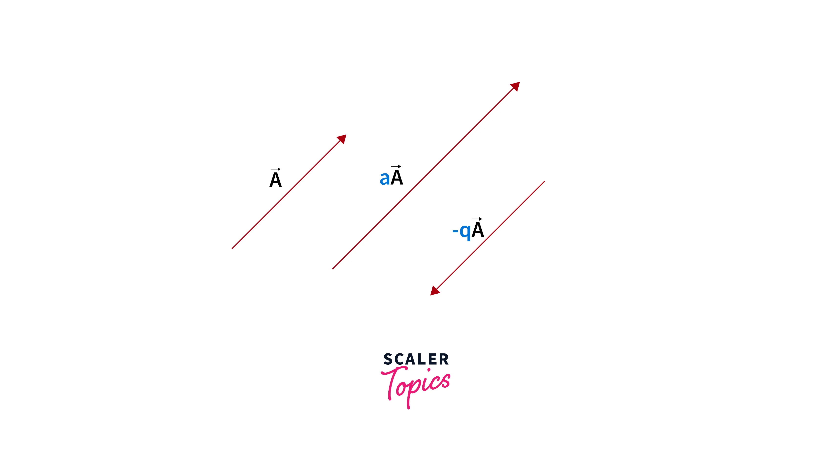 Linear Algebra Scalar Multiplication