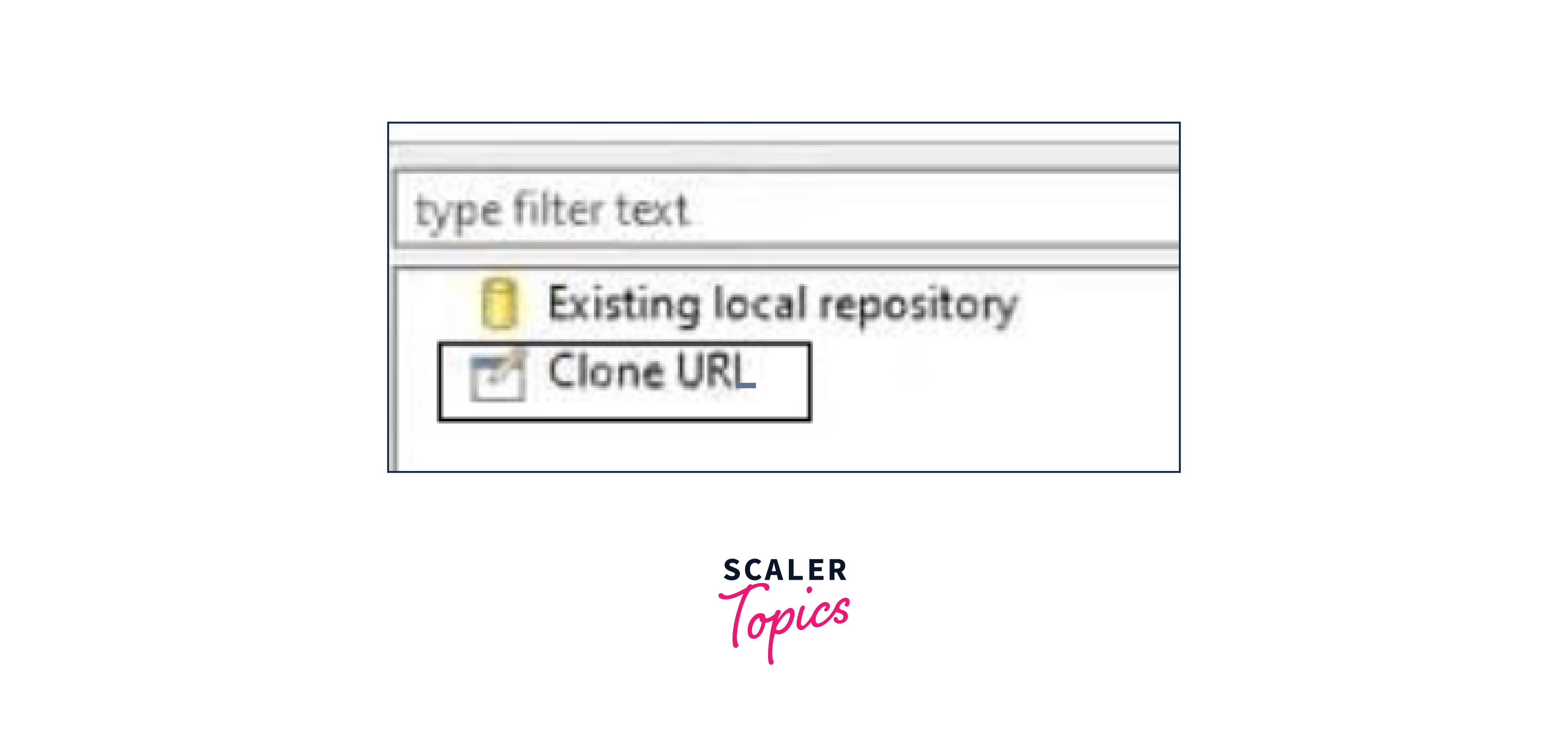 Selecting the Clone URL option to import