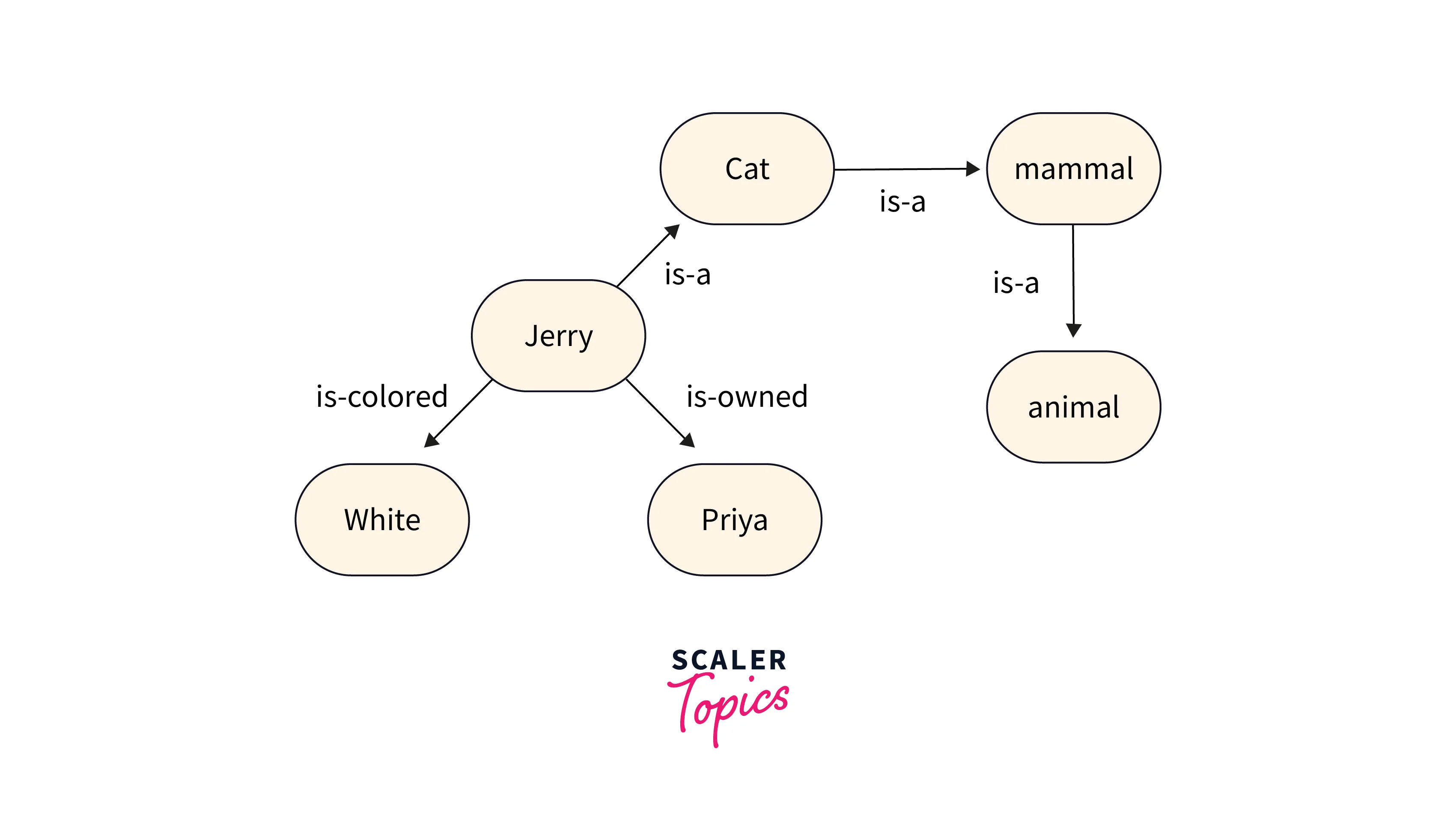 semantic network representation