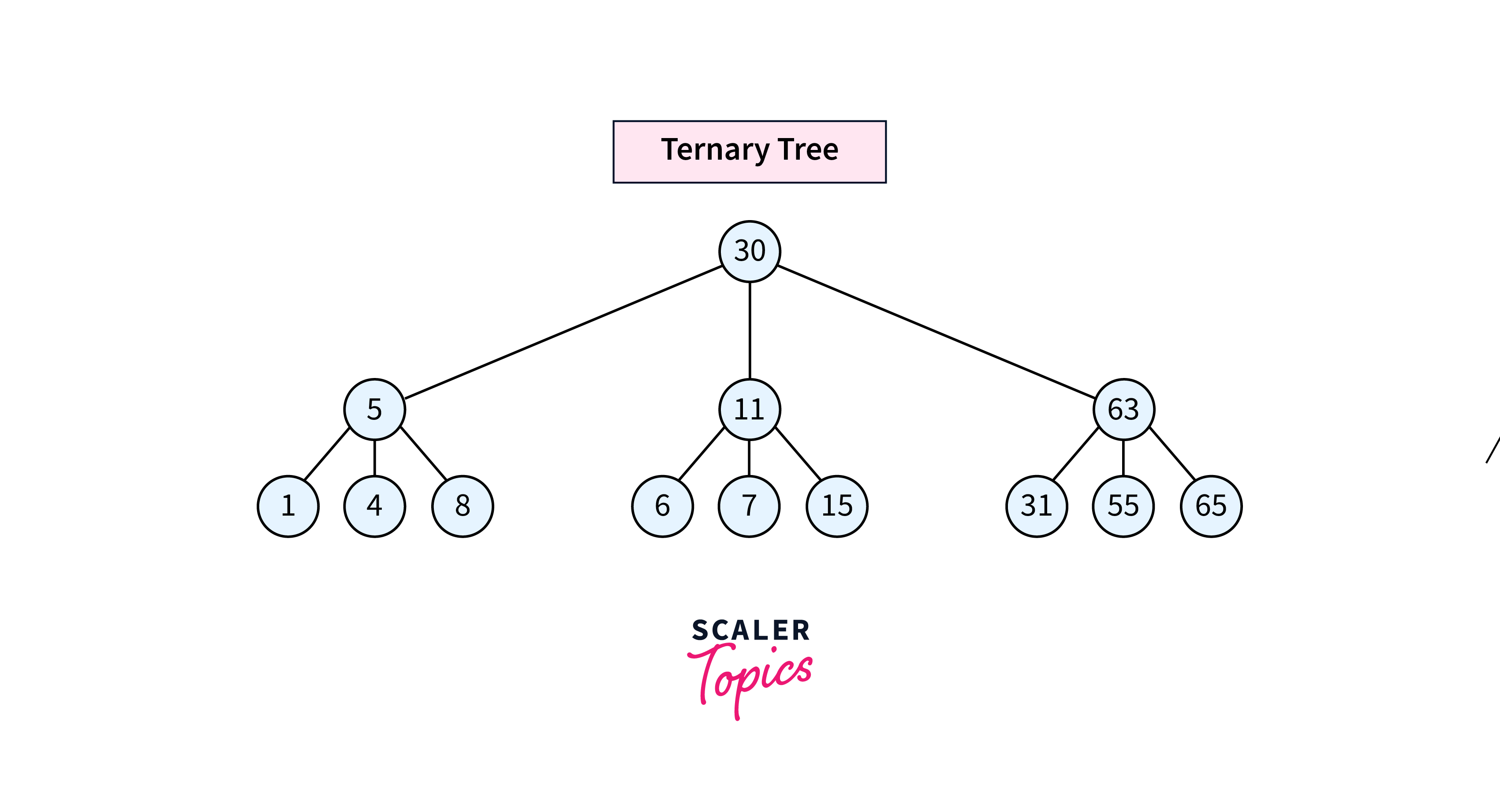 Ternary Tree