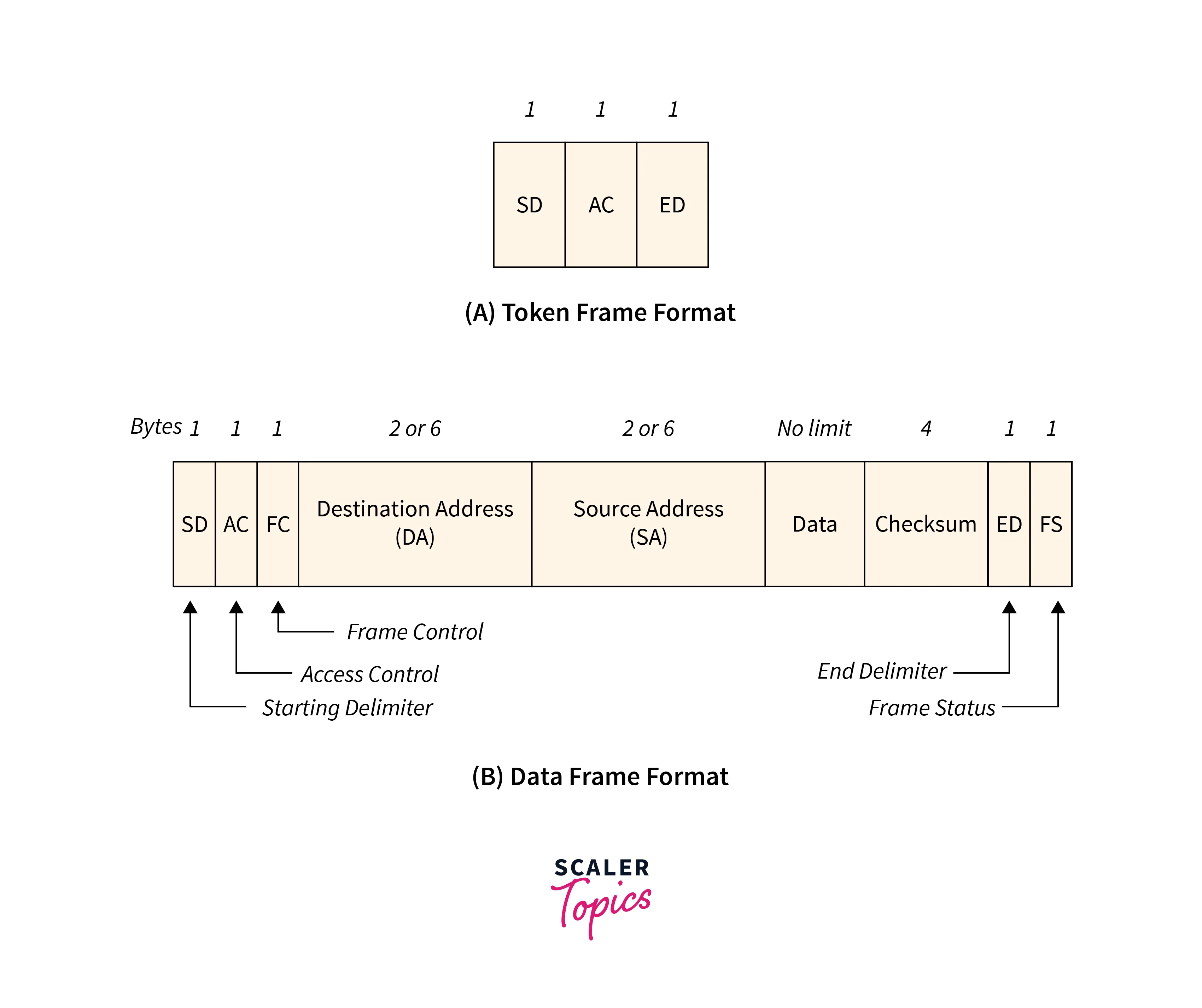 Token Ring: The ring network with controlled access - Polaridad.es