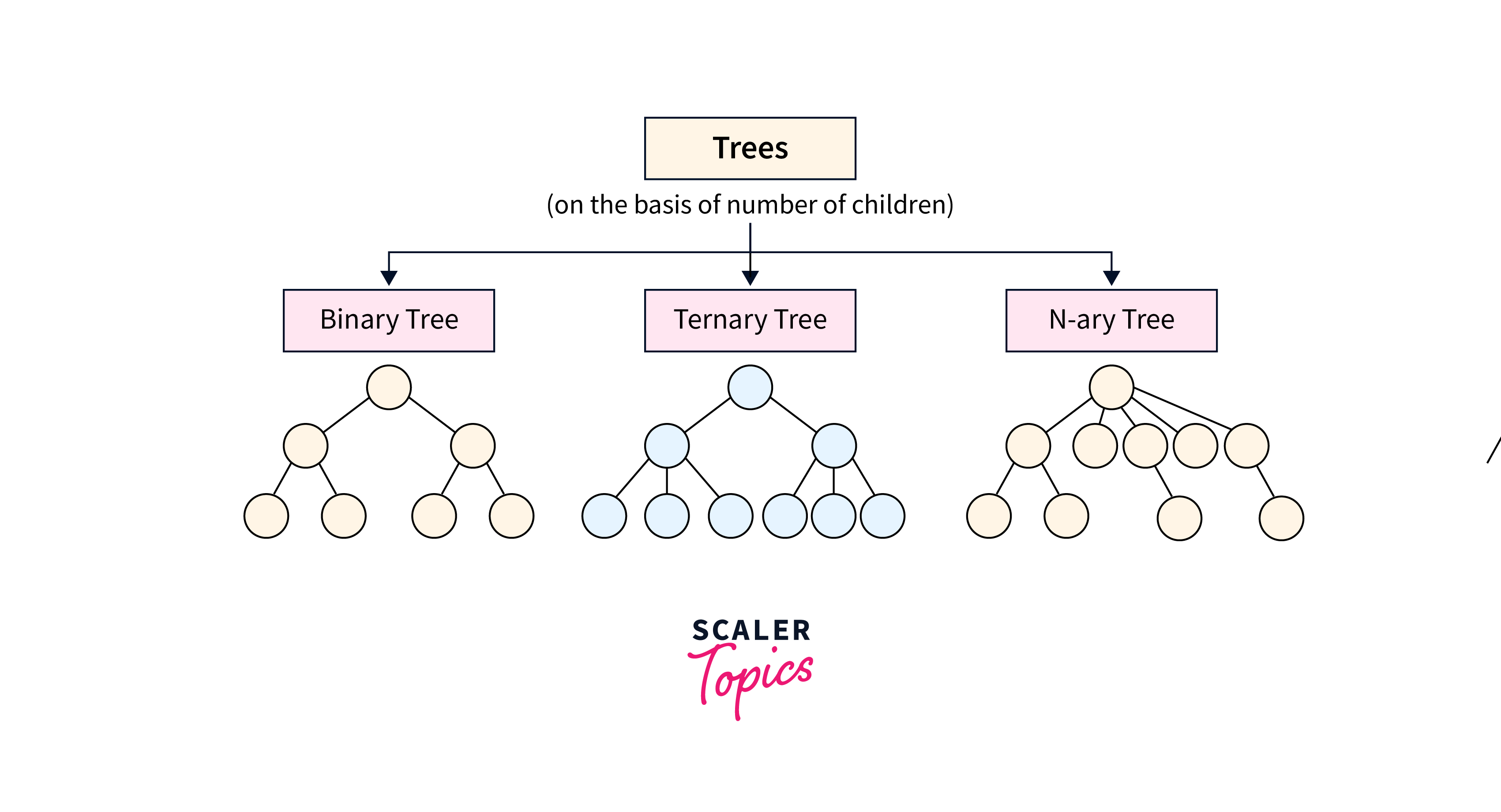 Types of Trees in Data Structure