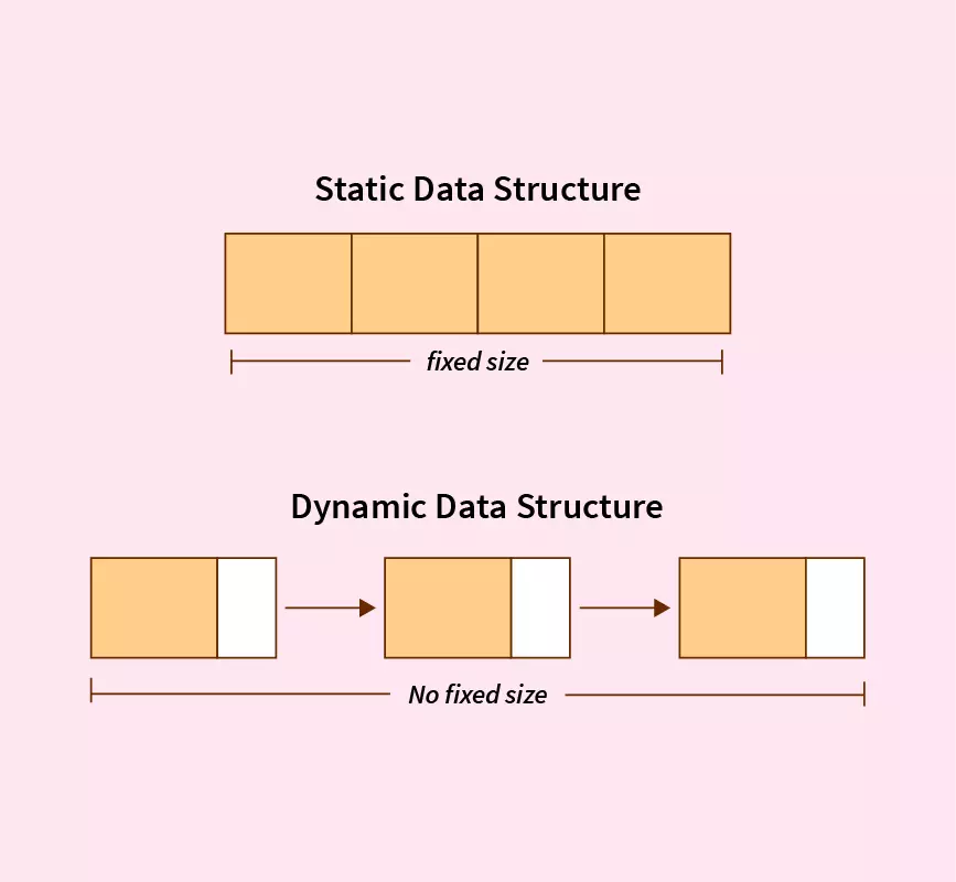 What is static and dynamic data types?