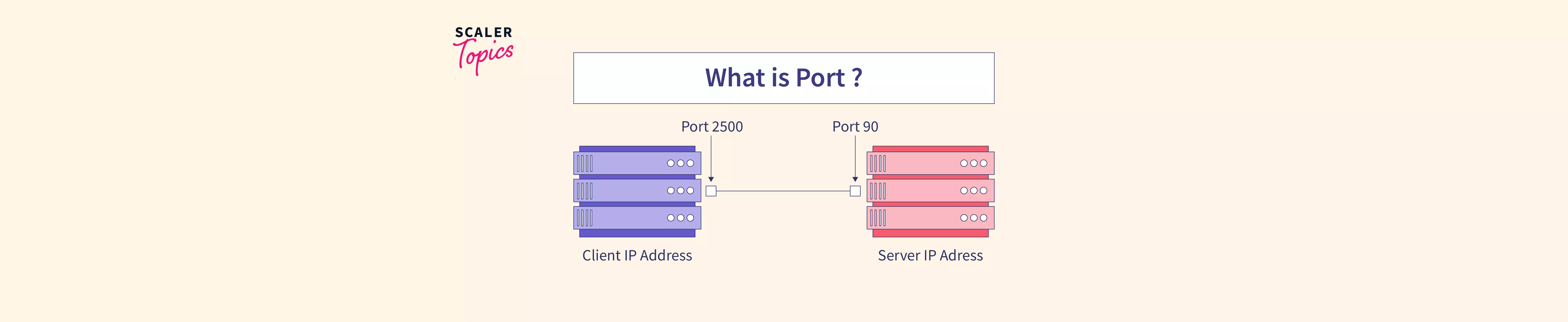 What is Port? Scaler Topics