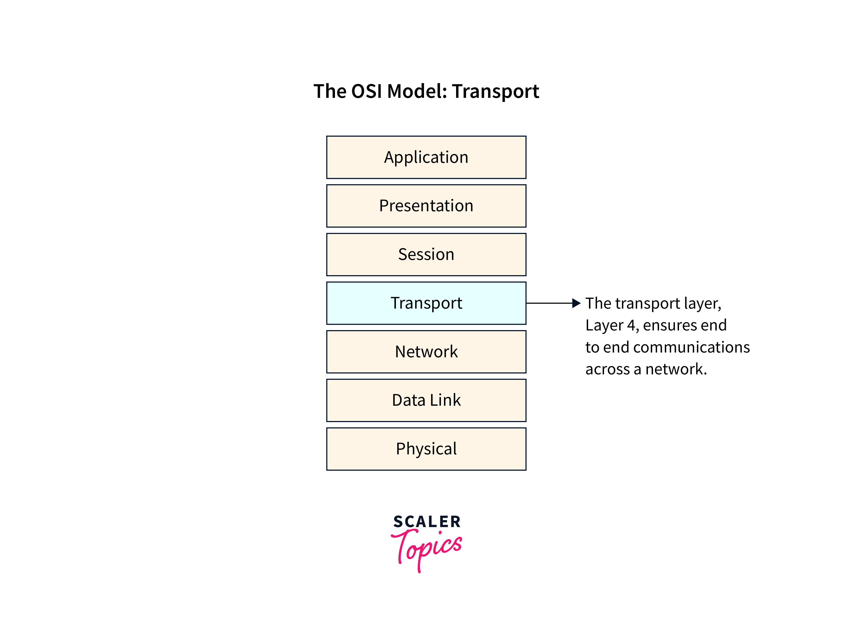What is the transport layer