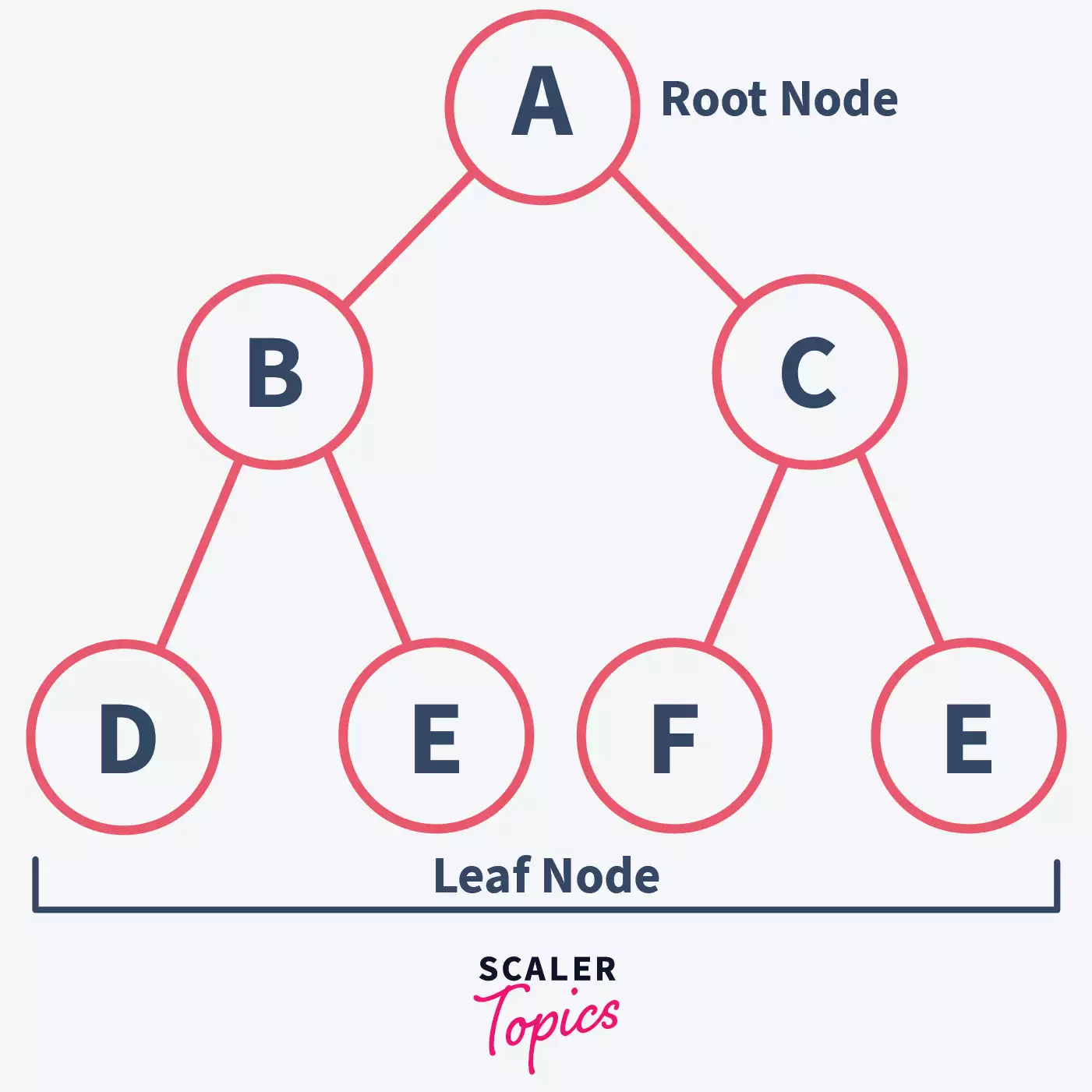 What are Binary Trees