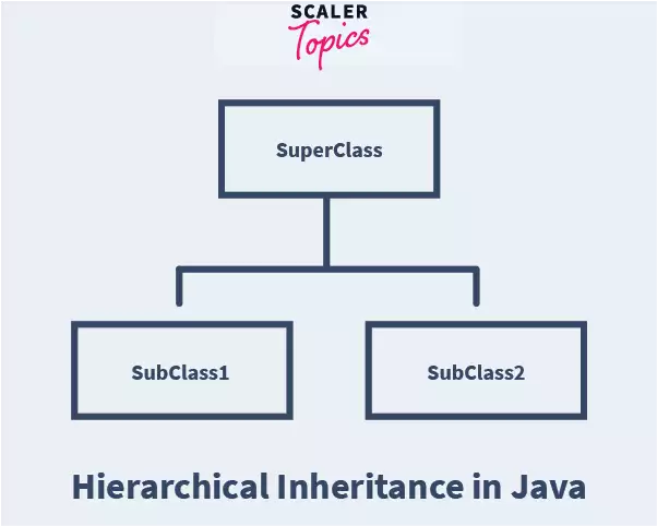 hierarchical inheritance in java