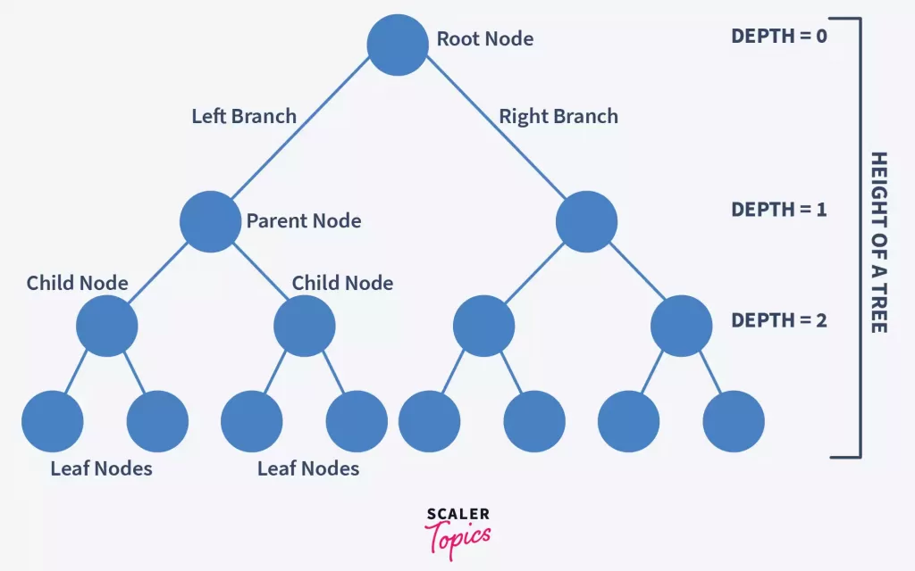terminologies in binary trees