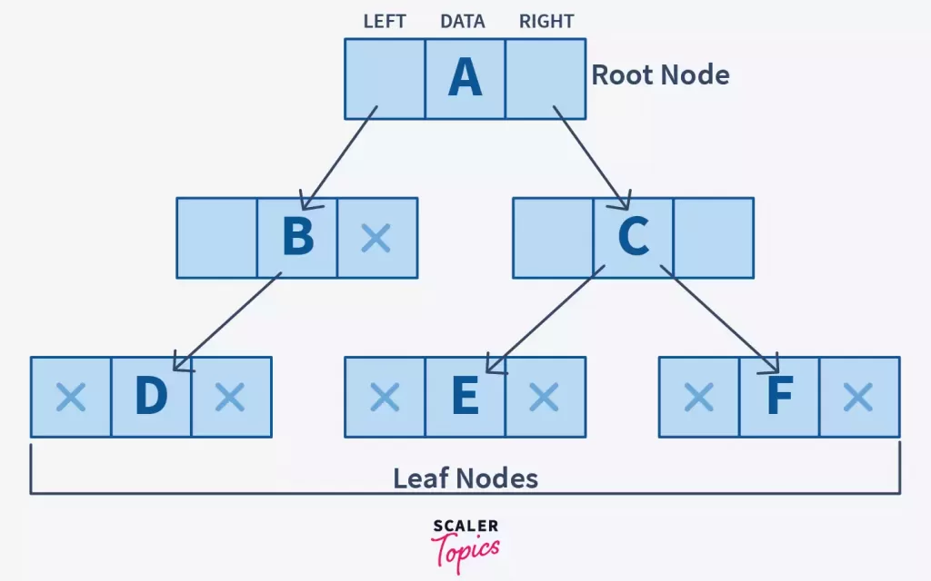 three elements of binary trees