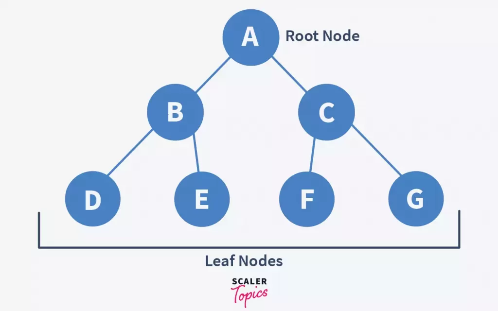 what are binary trees