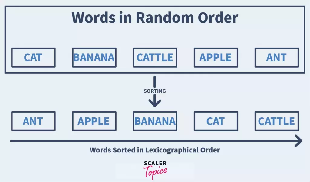 words in random order in insertion sort
